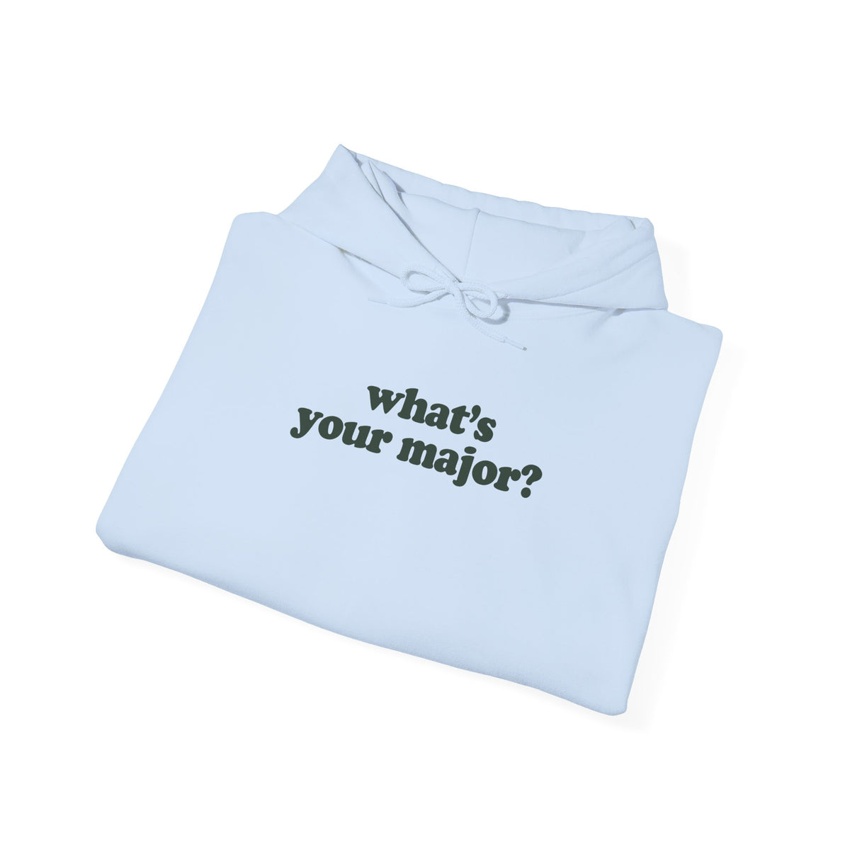 Physics Major Hoodie